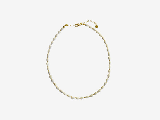 Shell Necklace